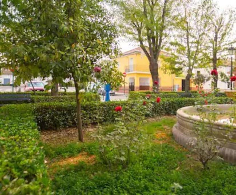 Casa Pablo -Granada- Βίλα Εξωτερικό φωτογραφία